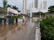 Temporal com ventos de 80 km/h causa alagamentos e queda de árvores em Taubaté
