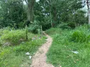 Tutor de pitbulls pode responder por homicídio doloso após ataque fatal a idosa em São José dos Campos