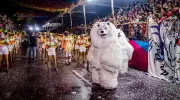 Urso da Paz é a grande campeã entre as Ala Ursas no Carnaval Tradição 2026 em João Pessoa