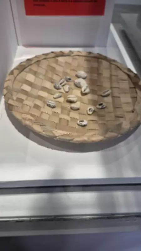 15 anos após redescoberta do Cais do Valongo, arqueólogos ainda analisam 1,5 milhão de objetos