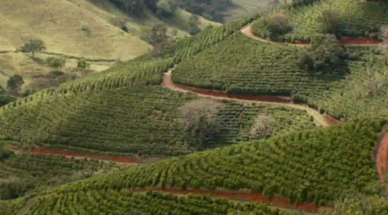 2º Festival Mantiqueira de Minas destaca cafés especiais em Carmo de Minas