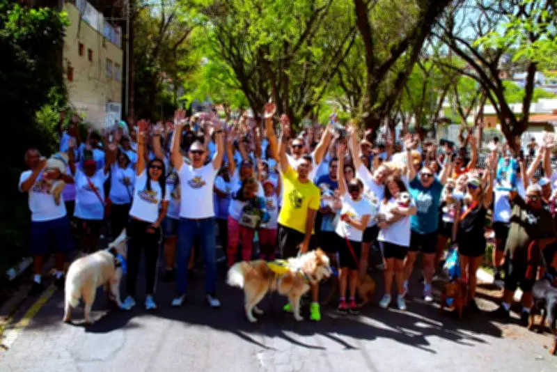 4ª Cãominhada de São Roque reúne pets e tutores neste domingo com diversão e adoção