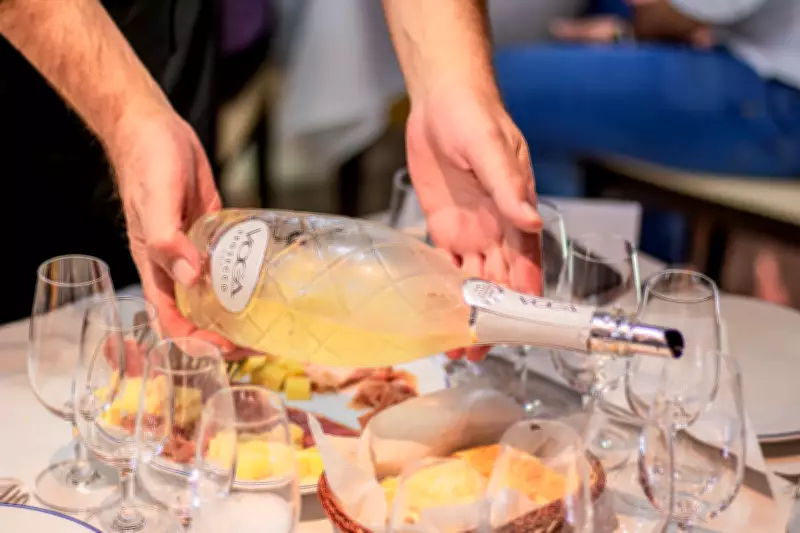 A temperatura correta do vinho: descubra como servir cada tipo para realçar sabor e aroma