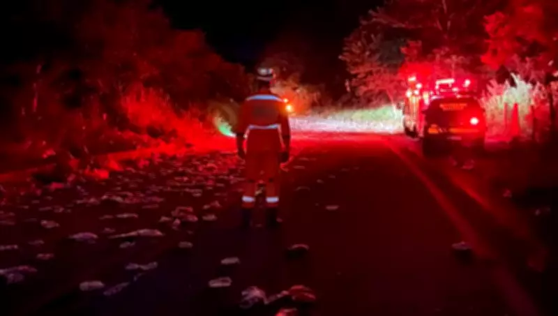 Acidente fatal na BR-259: Ônibus com estudantes cai em ribanceira após colisão com carreta