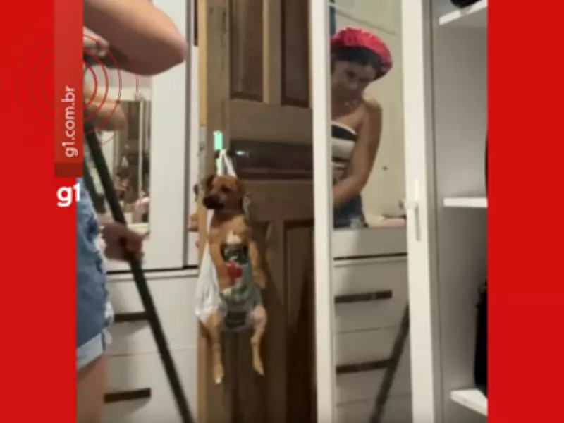 Acreana viraliza com vídeo de cachorro em sacola adaptada na maçaneta durante limpeza