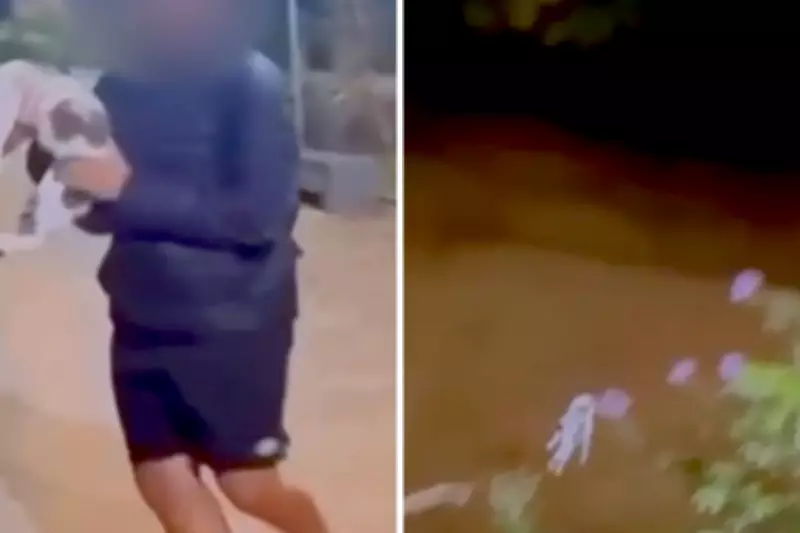 Adolescente é investigado por arremessar gato em rio em São Luiz do Paraitinga