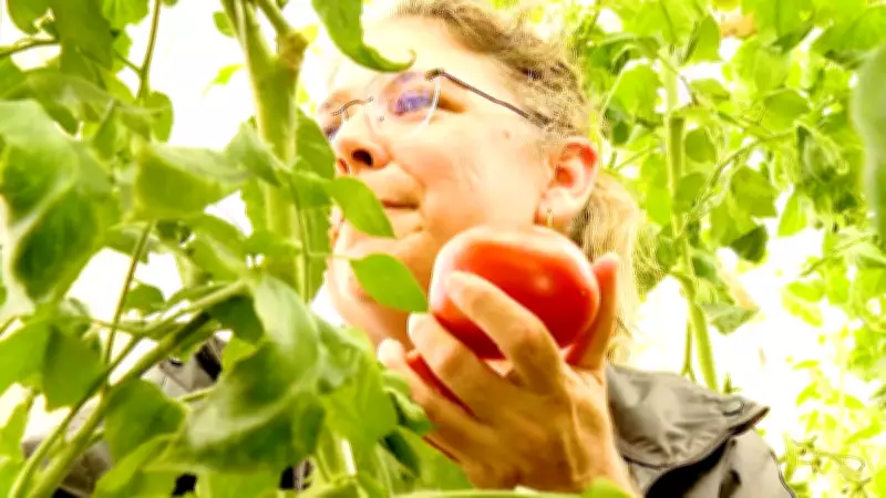 Agro Conecta Fronteiras e Sustenta o País com Tecnologia e Agricultura Familiar