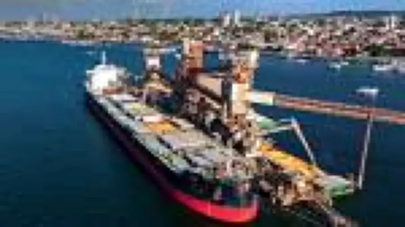 Agronegócio brasileiro diversifica exportações com plano bilionário para blindar-se em guerra comercial