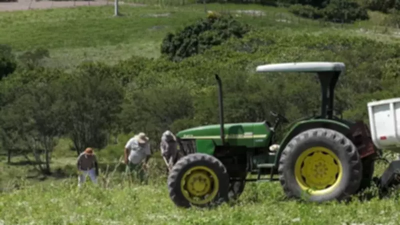 Agronegócio em Pernambuco projeta expansão superior a 50% para 2026, segundo IBGE