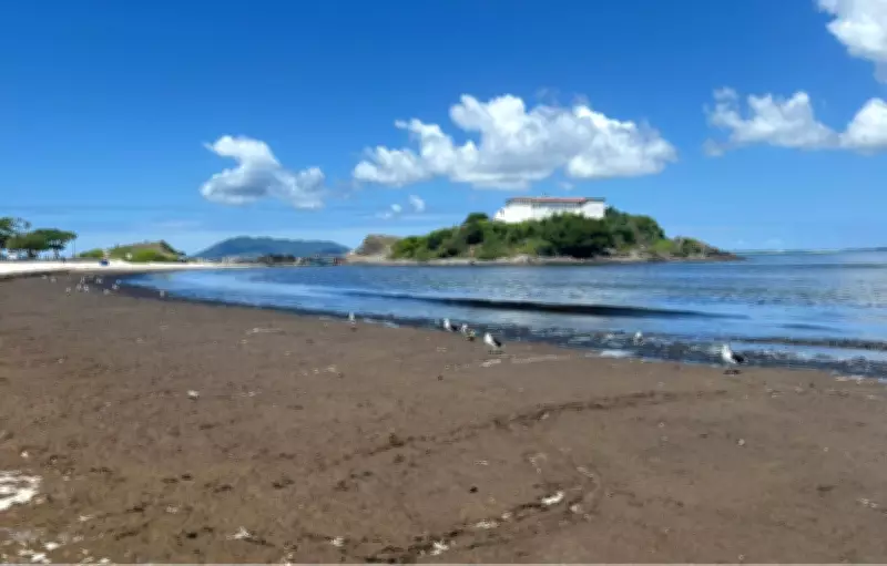 Algas marinhas invadem Praia do Forte em Cabo Frio e geram odor intenso