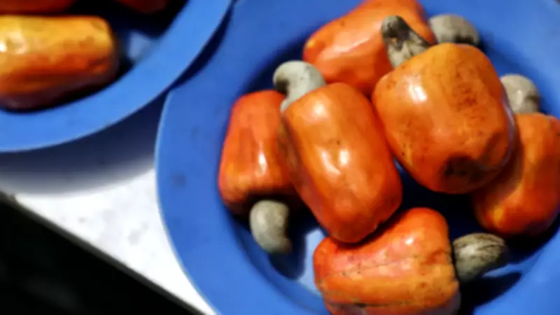 Alicia Silverstone quase ingere fruta venenosa em Londres; conheça os perigos ocultos