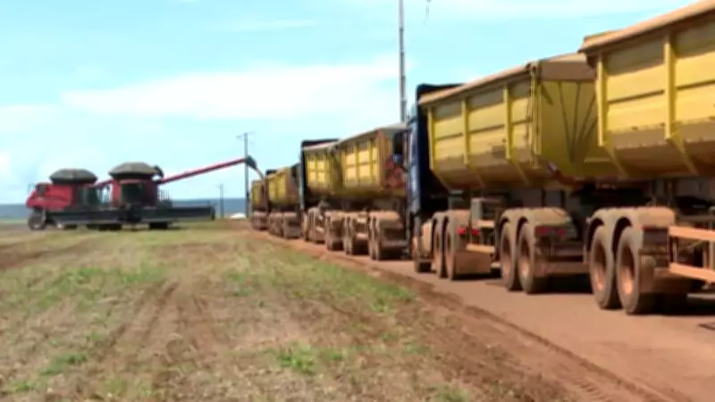 Alta do diesel eleva custos e preocupa produtores de soja no sul do Maranhão
