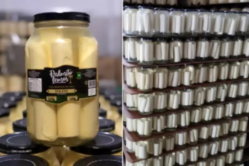 Anvisa dá 48 horas para Palmitos Lemos apresentar plano de recolhimento de produtos