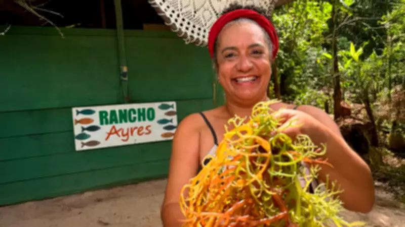 Aparecida Ayres transforma algas em negócio sustentável e fortalece comunidade caiçara em Paraty