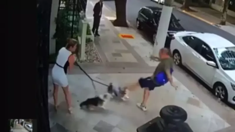 Aposentado é condenado por agredir cães e irmã de ministro do STF em São Paulo