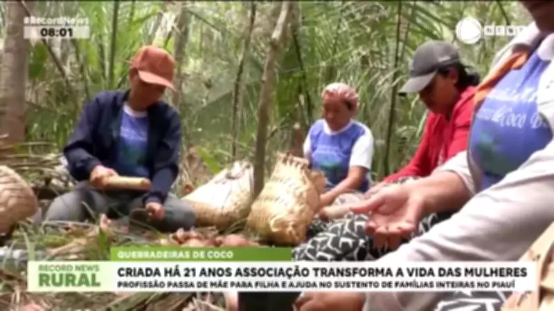 Associação de quebradeiras de coco babaçu transforma vidas de mulheres no Piauí há 21 anos