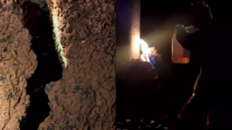 Ataque de enxame de abelhas mata trabalhador e deixa três feridas em fazenda de café no interior de Minas Gerais