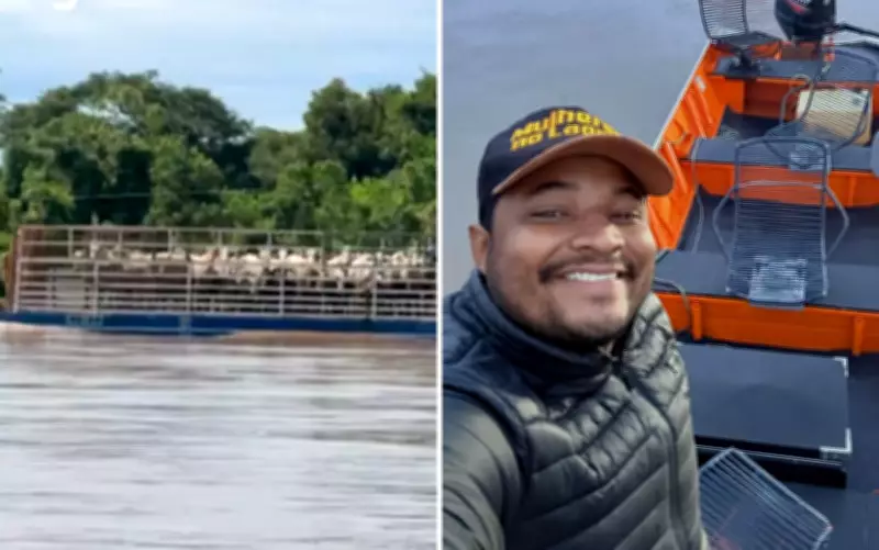 Balsa transportando dezenas de bois impressiona pescadores no Rio Araguaia em Goiás