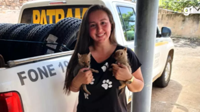 Bióloga transforma casa em santuário para animais silvestres resgatados no RS