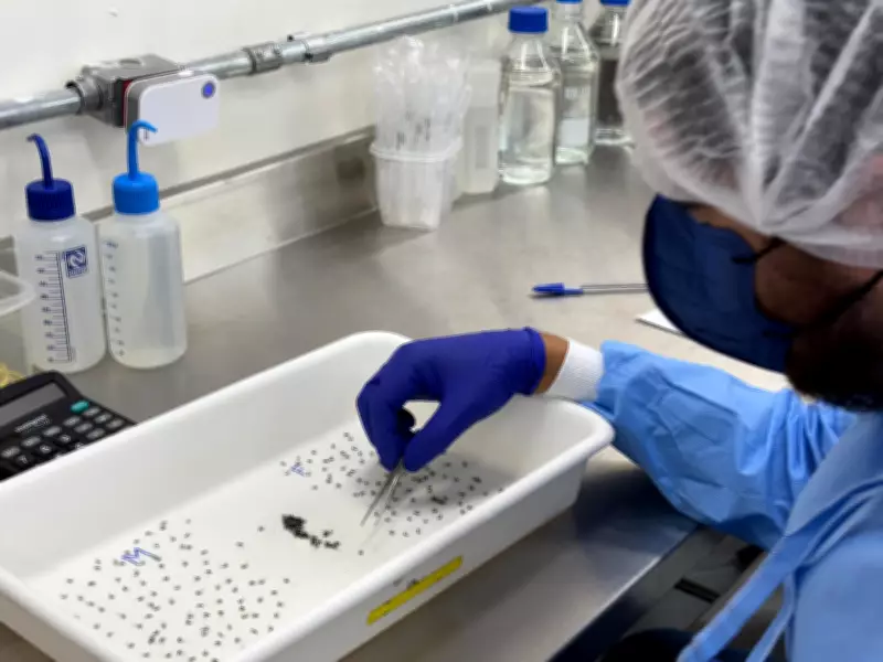 Biofábrica do Método Wolbachia é inaugurada em Presidente Prudente para combater dengue