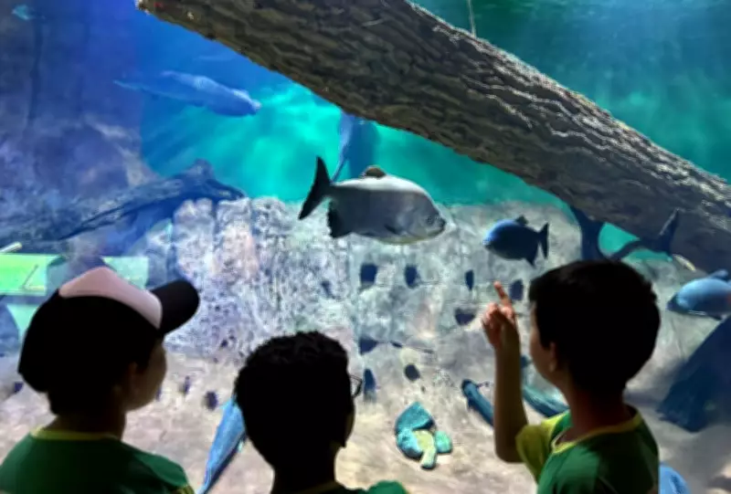 Bioparque Pantanal completa 4 anos como maior aquário de água doce do mundo e referência em conservação