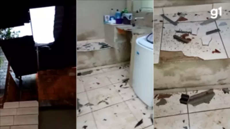 Boi invade residência após cair de barranco em Coronel Fabriciano e causa destruição