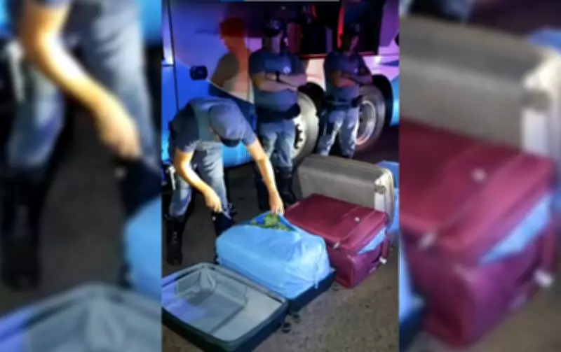 Boliviano é flagrado com mais de 90 kg de folhas de coca em ônibus no interior de SP