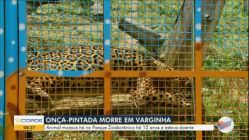 Bom Dia Cidade Sul de Minas: confira as principais notícias desta terça-feira, 10 de março de 2026