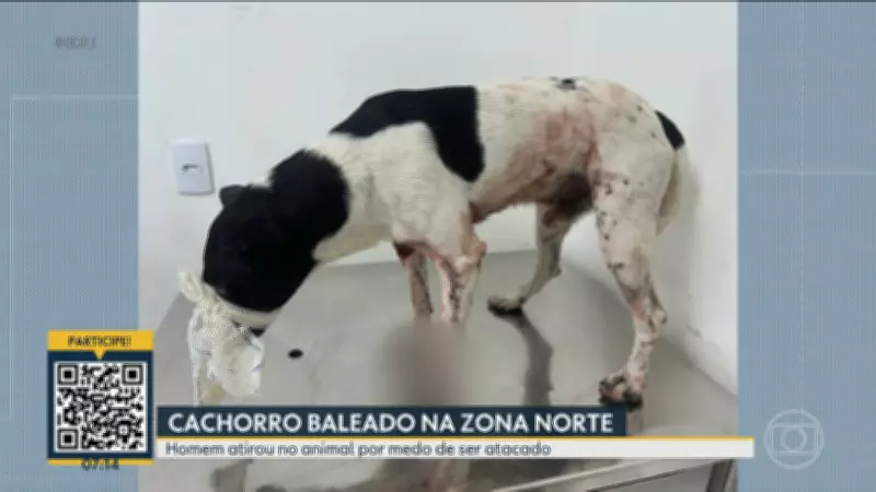 Bom Dia Rio desta terça-feira, 31 de março de 2026: confira os destaques
