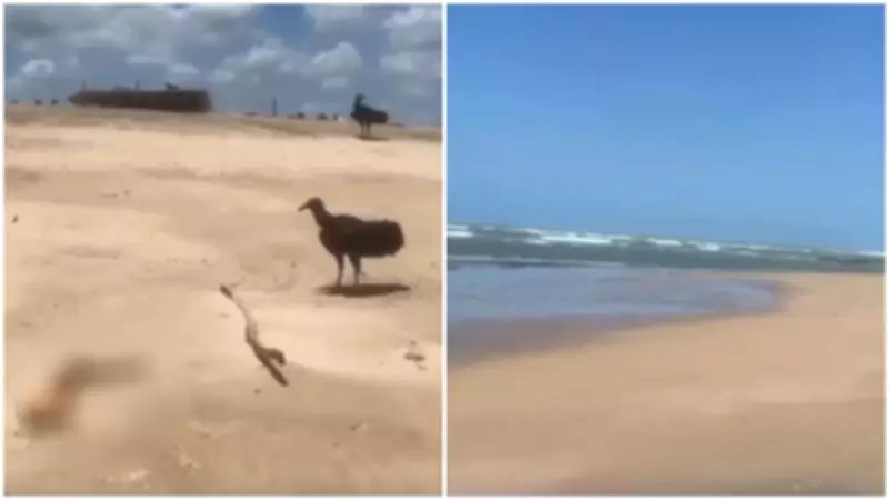 Braço humano em decomposição é encontrado em praia de Paracuru, no Ceará