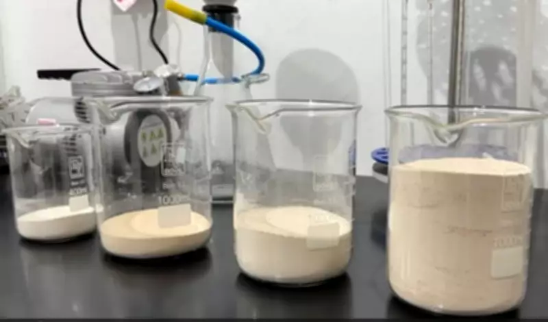 Brasil avança na produção de terras raras com primeiro lote nacional para ímãs em MG