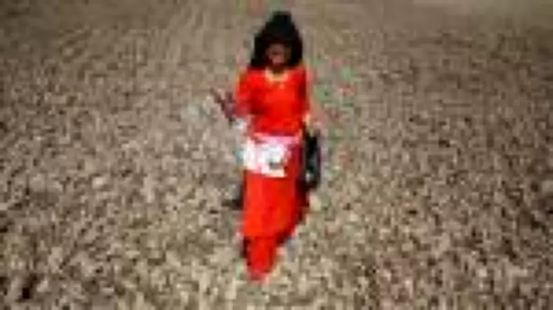 Brasil importa 85% dos fertilizantes e enfrenta risco de alta nos alimentos