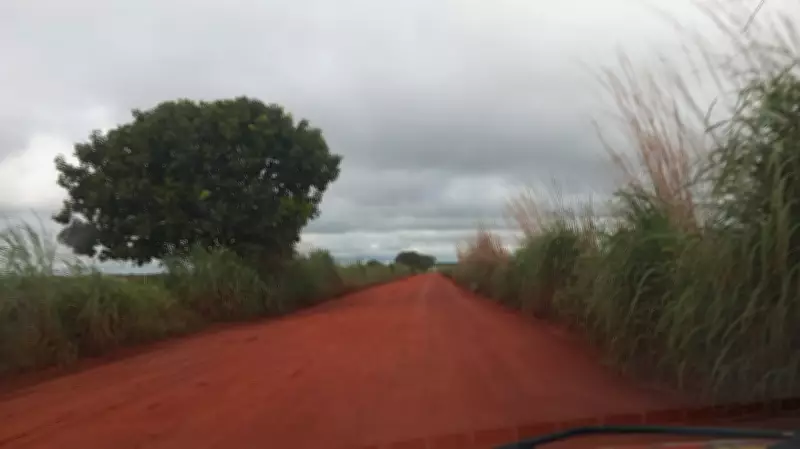 Buscas por mecânico agrícola completam uma semana com reforço de drones e animais no Tocantins