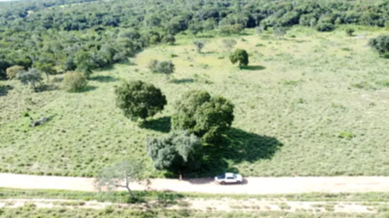 Buscas por mecânico agrícola desaparecido no Tocantins entram no sexto dia