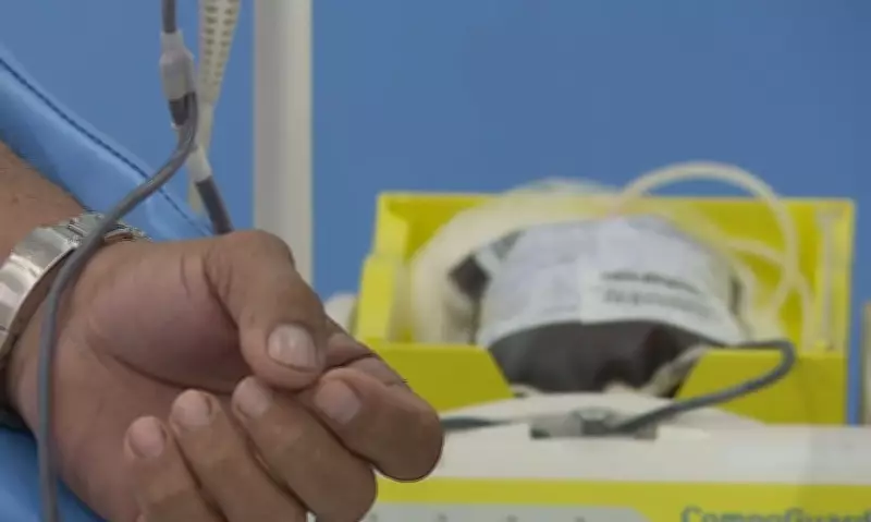 Cachoeiro aprova projeto que converte multas leves e médias em doação de sangue