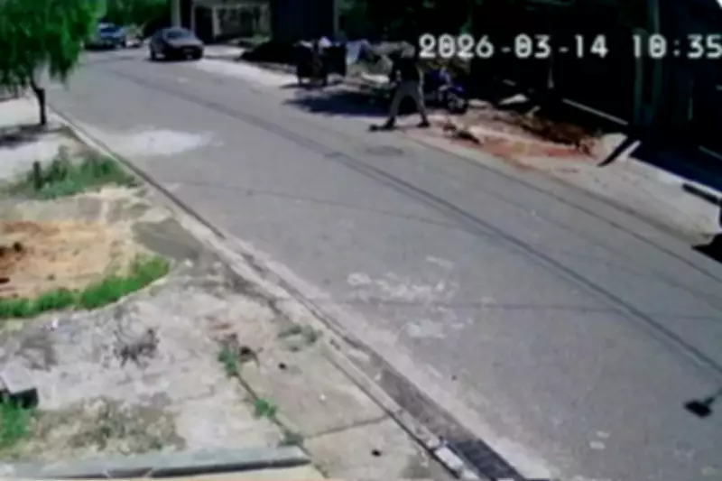 Cachorro é arrastado no asfalto e abandonado em caçamba de lixo em Sorocaba