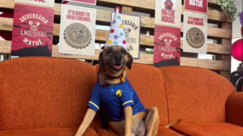 Cachorro frentista Matuê completa 11 anos com festa solidária em posto de Campinas