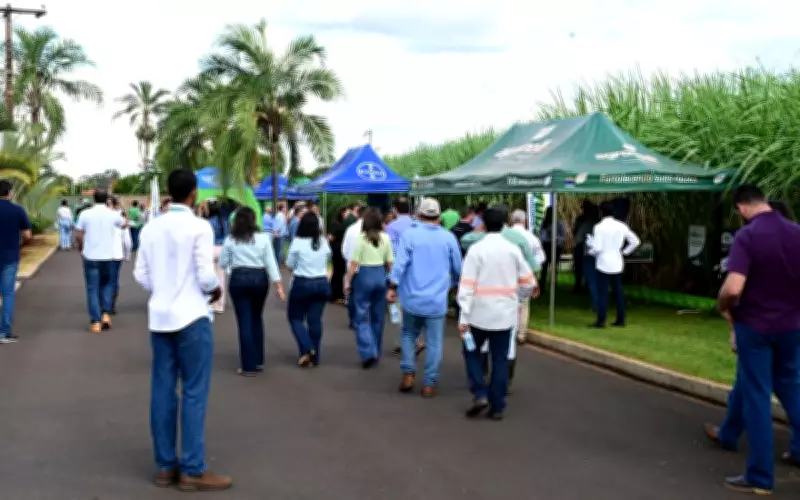 CADI Cana e Amendoim supera expectativas e fortalece setor bioenergético em Minas Gerais