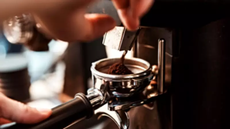 Cafeicultores enfrentam incertezas com preços menores, guerra e juros altos