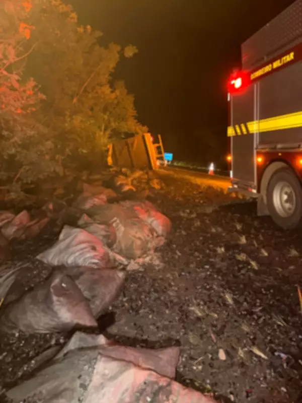 Caminhão carregado de carvão tomba na BR-135 em Buenópolis e mata motorista
