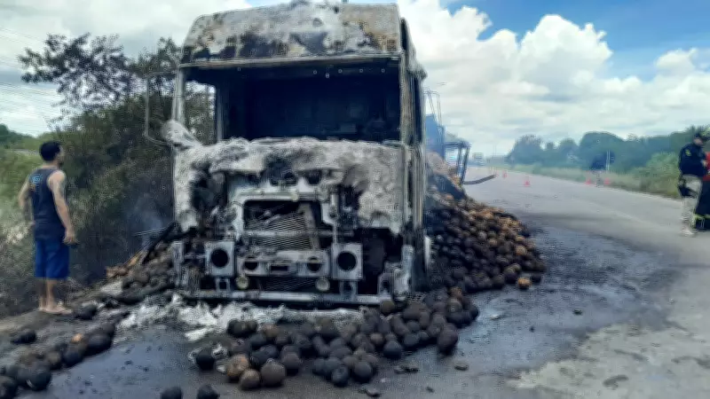 Caminhão carregado de cocos é totalmente consumido por incêndio na BR-304 no Rio Grande do Norte
