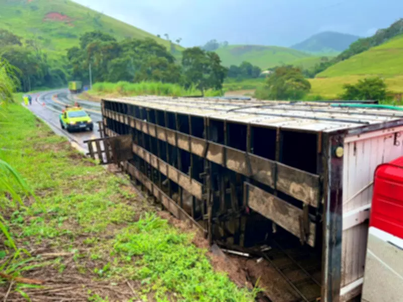Caminhão com 28 cabeças de gado tomba na BR-116 em Muriaé; motorista fica ferido