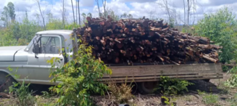 Caminhão com documentação irregular há 10 anos é apreendido com madeira furtada em Rio Pardo de Minas