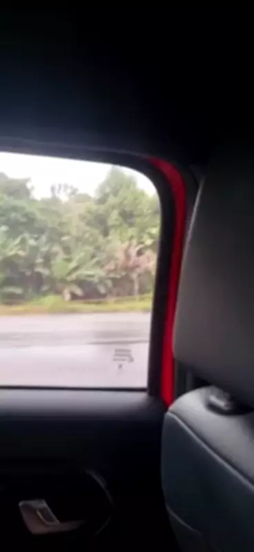 Caminhão com refrigerantes tomba em curva da AM-010 no Amazonas