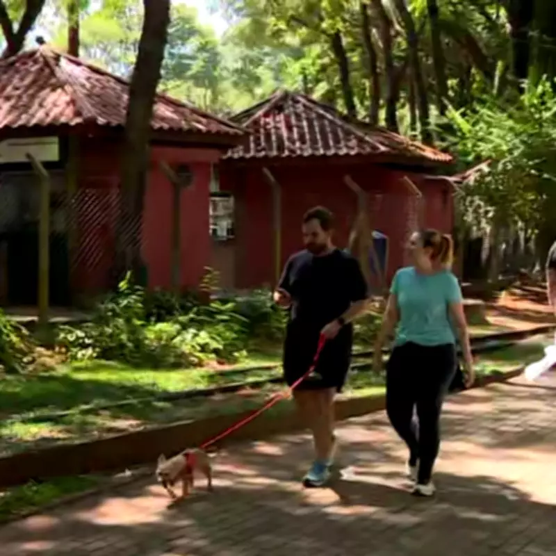 Campinas autoriza entrada de animais de estimação em parques e bosques municipais
