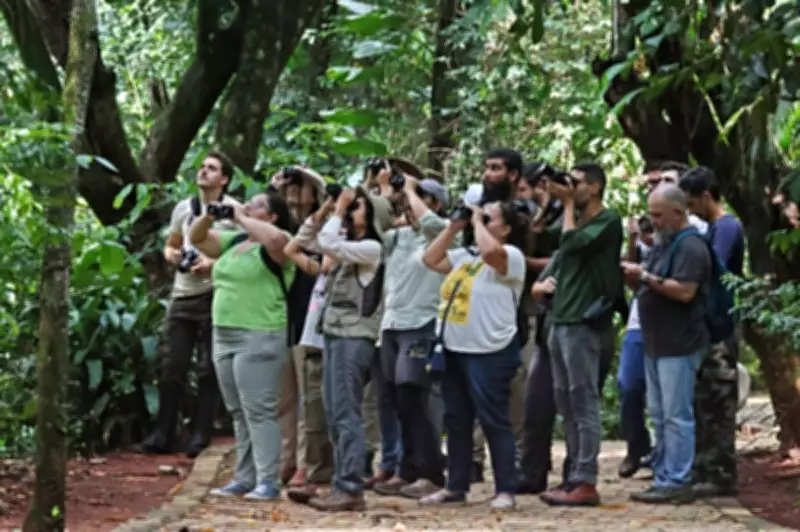 Campo Grande promove observação de aves durante conferência internacional sobre espécies migratórias