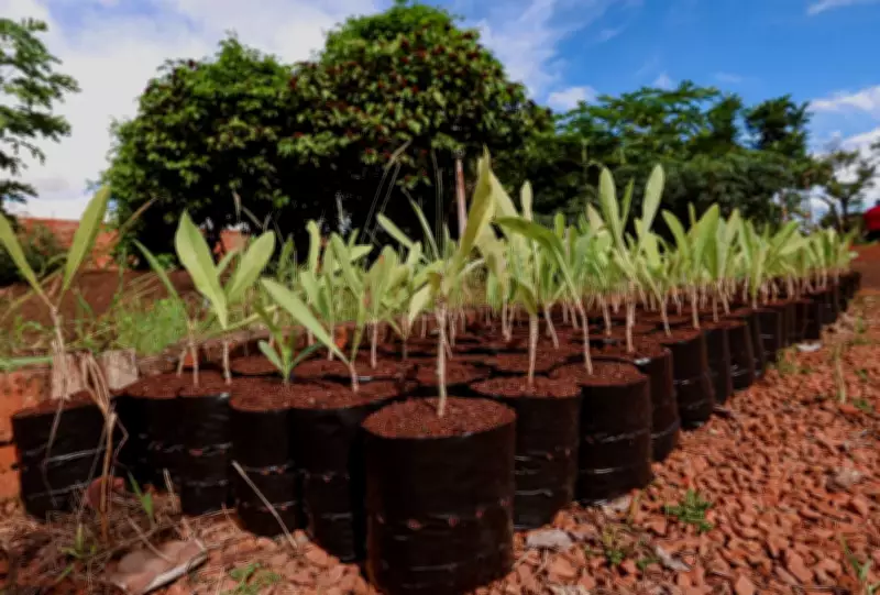 Campo Grande sedia COP15 e ganha Bosque com 250 árvores como legado ambiental