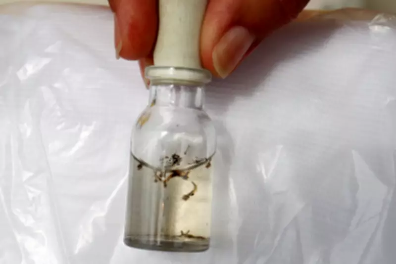 Caraguatatuba intensifica combate à dengue e chikungunya com ações em bairros