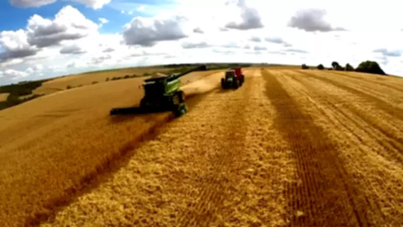 Cargill suspende exportações de soja para China após mudanças na inspeção fitossanitária brasileira