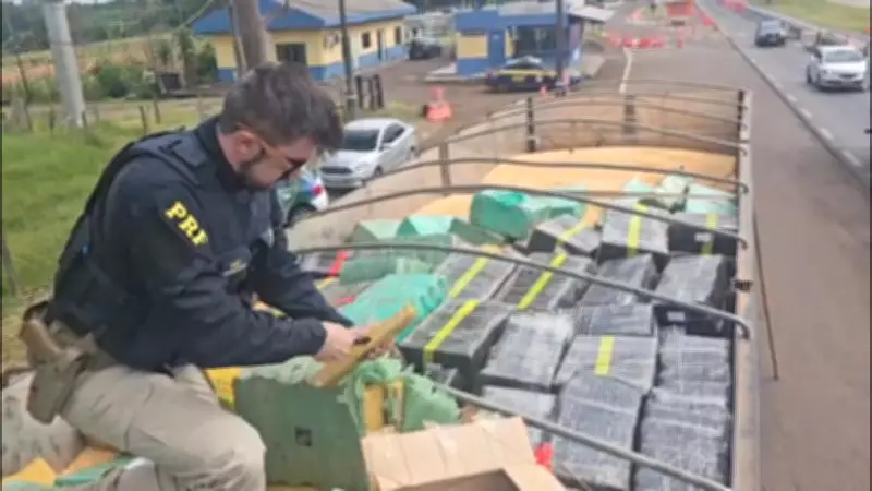 Casal com criança é preso no PR após apreensão recorde de mais de 5 toneladas de maconha